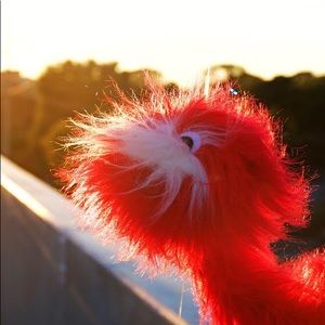 Meet your Posher, Elena